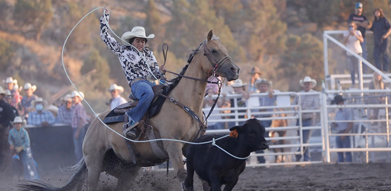 There's a Rodeo in Town!