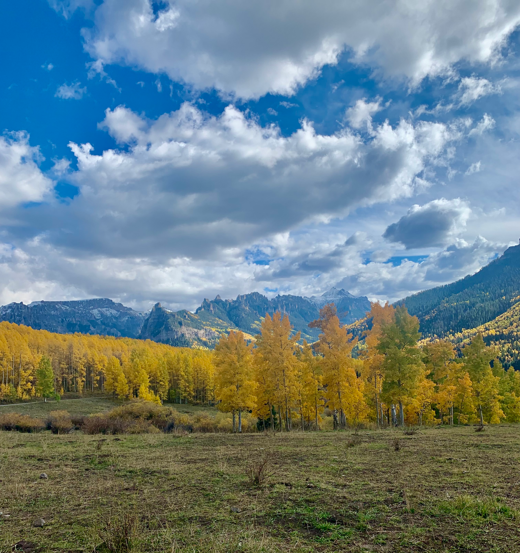 Leaf Peeping