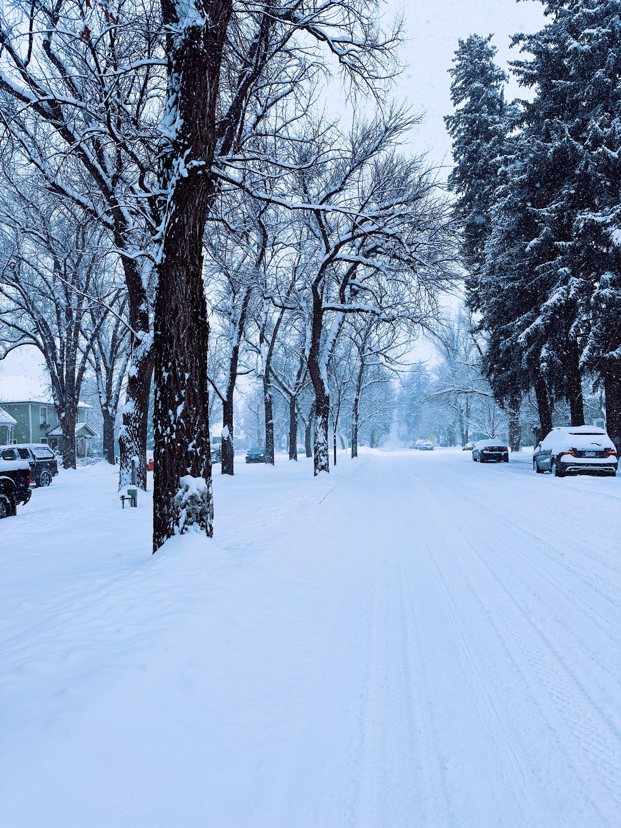 GoDurango - Winter Edition