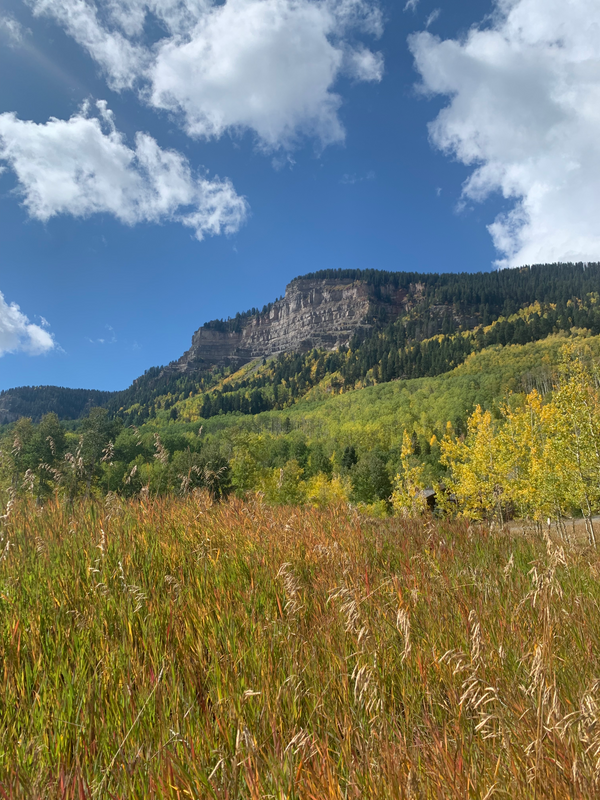 Fall in Durango