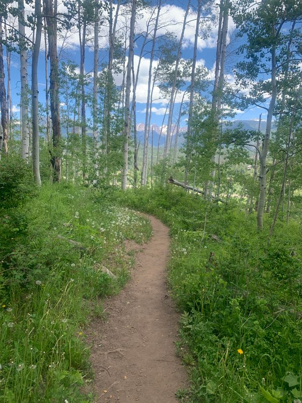 My Top 5 Durango Hikes